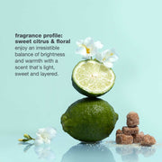 milk-shake-volume-solution-fragrance-profile